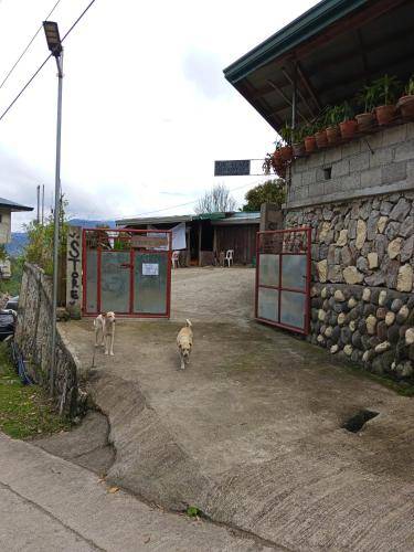 Bed & Breakfast Sagada