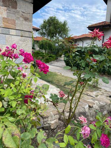 foto16