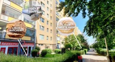 Appartement 20 m²