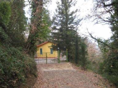 Chalet Fireplace Paciano