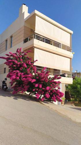Apartment Chania