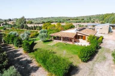 Casa 100 m²