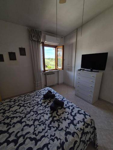 foto20