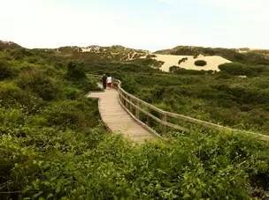 foto32