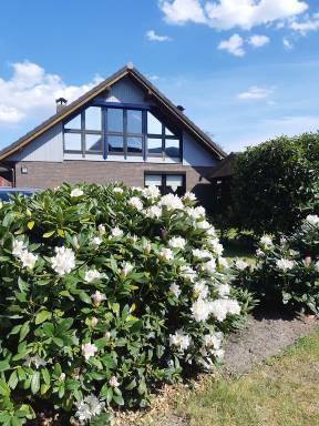 Ferienwohnung Klimaanlage Bockhorn