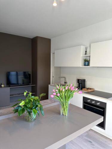 Apartment Lake Lugano