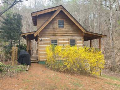 Cabin Townsend