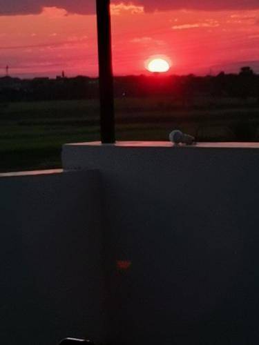 foto8