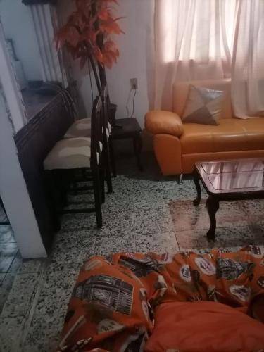 foto9