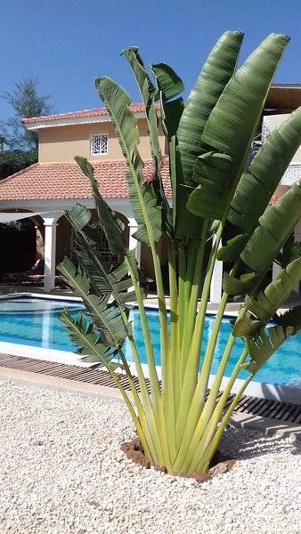 Villa Somone