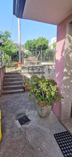 B&B Calu