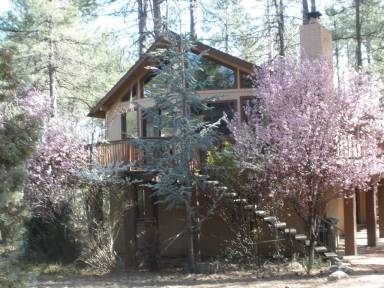 Cabin Pet-friendly Pine