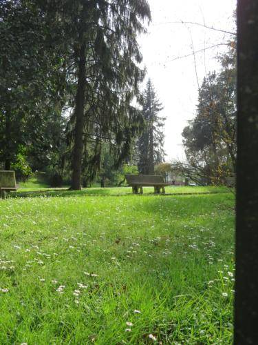 foto10