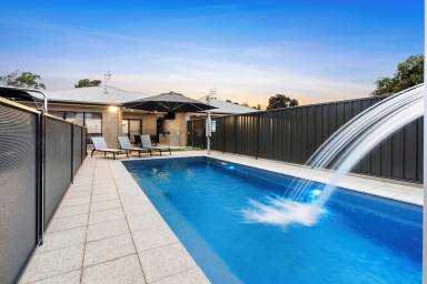 Boat Renmark