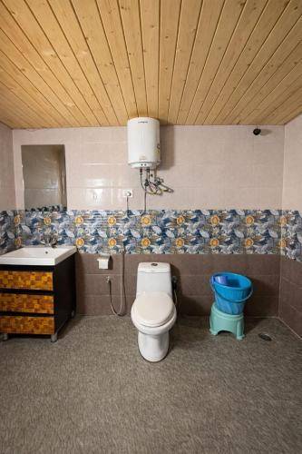 Great Himalayan Resort Mcleodganj — photo 4