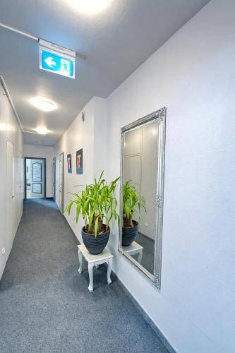 Hotel Brigach — photo 3