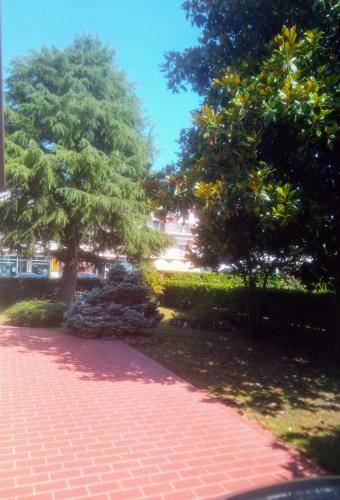 foto14