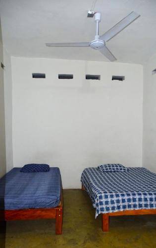 foto8