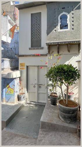 foto12