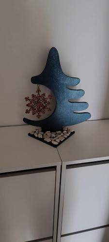 foto7