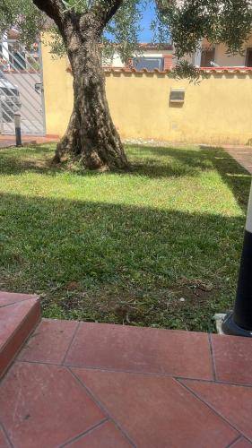 foto12