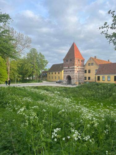 Bed & Breakfast Stege