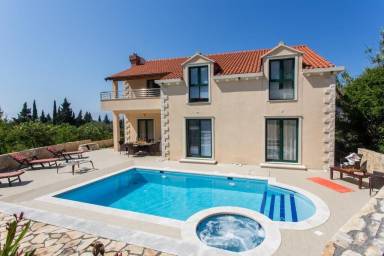 Villa Pool Brašina