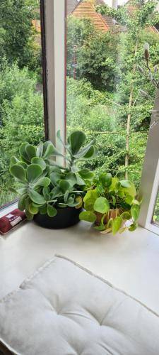 foto19