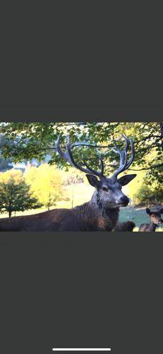 foto17