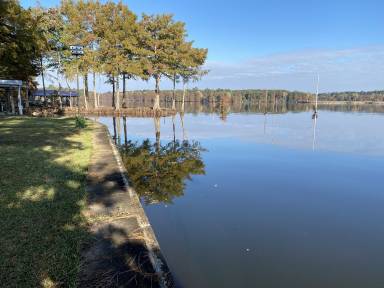 House Lake D'Arbonne State Park