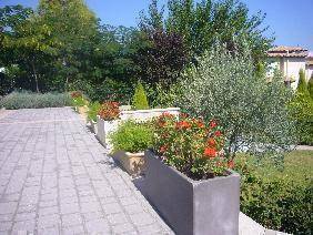 foto31