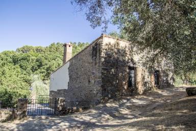 Casa rural Chimenea Jabugo