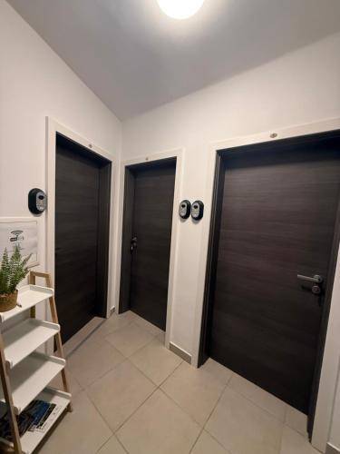 Beautiful rental apartment | Pets allowed — photo 5
