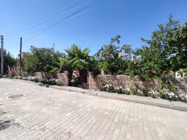 Apartment  Mustafapaşa