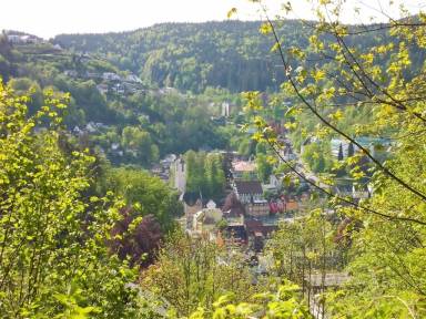 Ferienwohnung Triberg