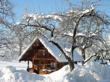 Appartement Pichl