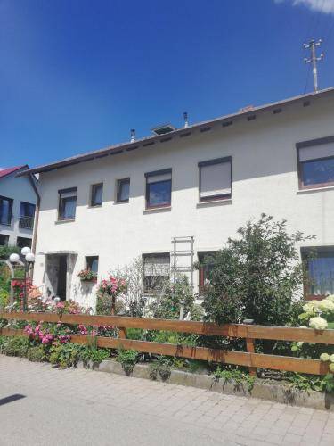 foto1