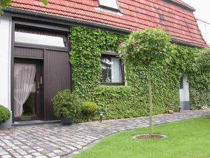 Ferienwohnung Borghorst
