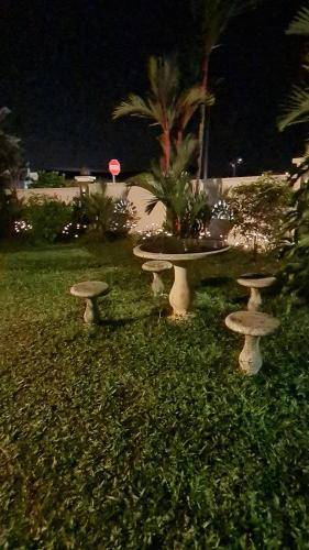 foto19