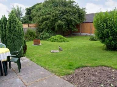 Cottage with garden