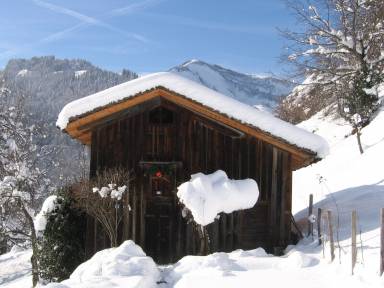 Chalet Terrasse / balcon Crest-Voland