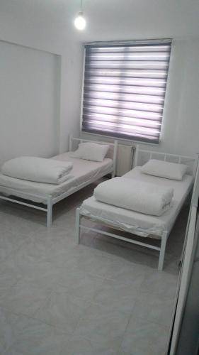 foto5