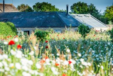 Cottage Southorpe