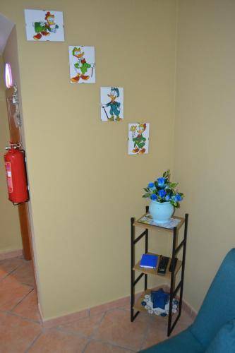 foto19