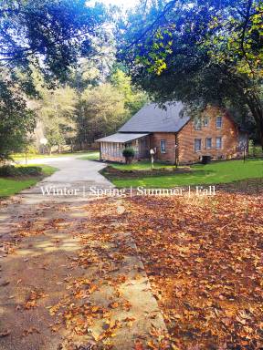 Cabin Jonesboro