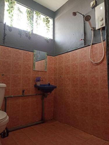 foto8
