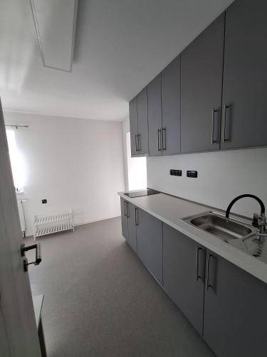 Apartmán Syřenov