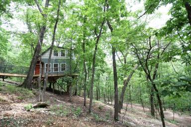 Cabin Branson
