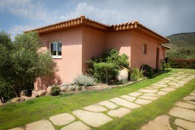 Apartment  Porto Pollo