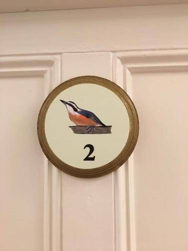 foto17